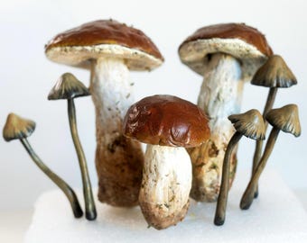 Set of 8 mix pieces of mushrooms - halloween decoration for terrarium plants, realistic mushrooms