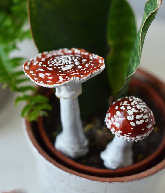 Mini mushrooms fly agaric for decor. Fairy garden mushrooms