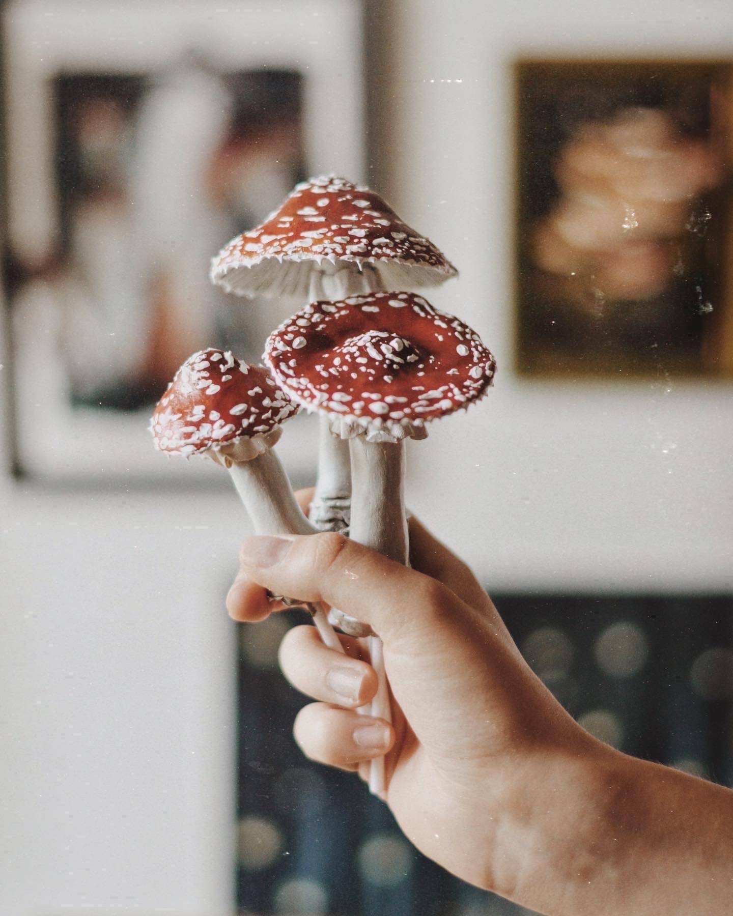 12pcs-red / White Lacquer Mushrooms-fake Mushrooms-artificial