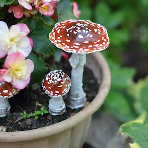 May include: A terracotta pot with two red and white spotted mushrooms. The pot is filled with soil and has a few green leaves growing in it. There are pink flowers growing around the pot.