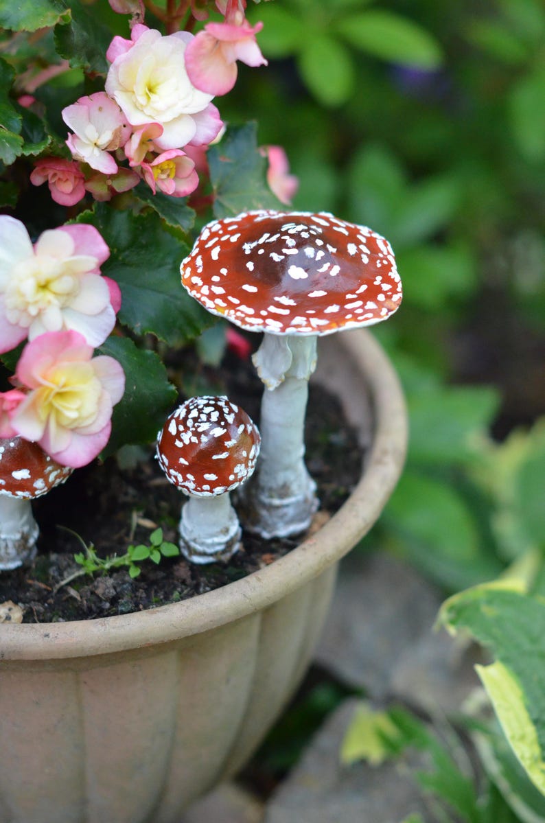 May include: A terracotta pot with two red and white spotted mushrooms. The pot is filled with soil and has a few green leaves growing in it. There are pink flowers growing around the pot.