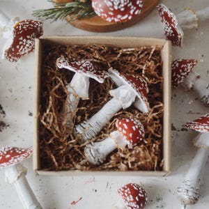 May include: A box filled with white and red mushroom ornaments. The mushrooms have white stems and red caps with white spots. The box is filled with brown shredded paper.