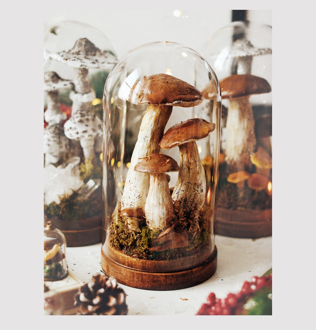 SomAbito Glass Globe Mashroom 3D 3点セット SomAbito Glass Globe Mashroom 3D 3点セット