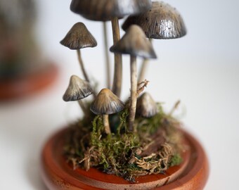 Terrarium with shrooms - magic mushrooms - realistic, artificial - decoration with a glass dome