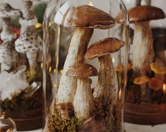 Handmade Realistic Boletus Mushroom Display – Glass Dome Woodland Sculpture, Collector’s Forest Art Piece