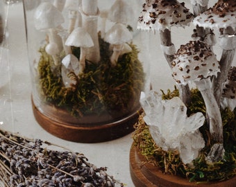 Terrarium z Kaniami- dekoracja Las W Domu pod szklanym kloszem z kryształem górskim