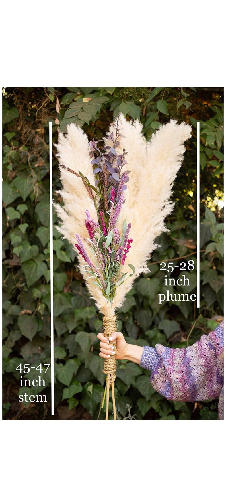 BULK Large Pampas Grass 30 Stem Min Order Etsy