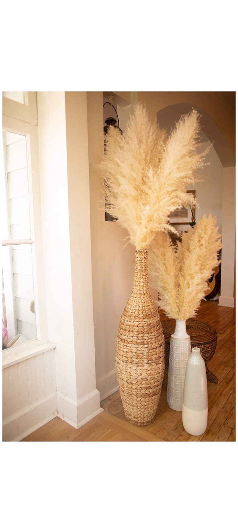 BULK Large Pampas Grass 30 Stem Min Order Etsy