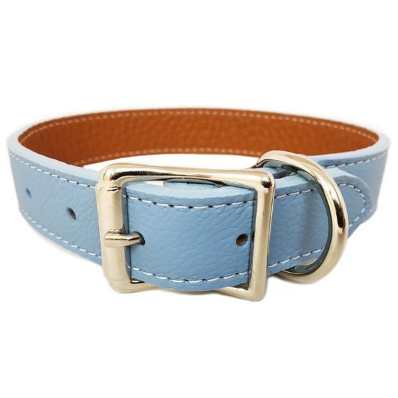 Italian Leather Dog Collar Light Blue Etsy