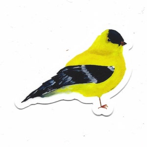 Putter Vinyl Sticker