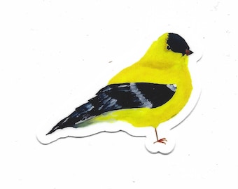 Puede incluir: Un pájaro amarillo con cabeza y alas negras, y rayas blancas en sus alas. El pájaro está posado en una rama.