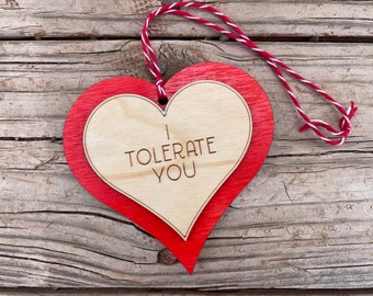 Valentine gift - I Tolerate You ornament - Car mirror hanger - sarcastic valentine