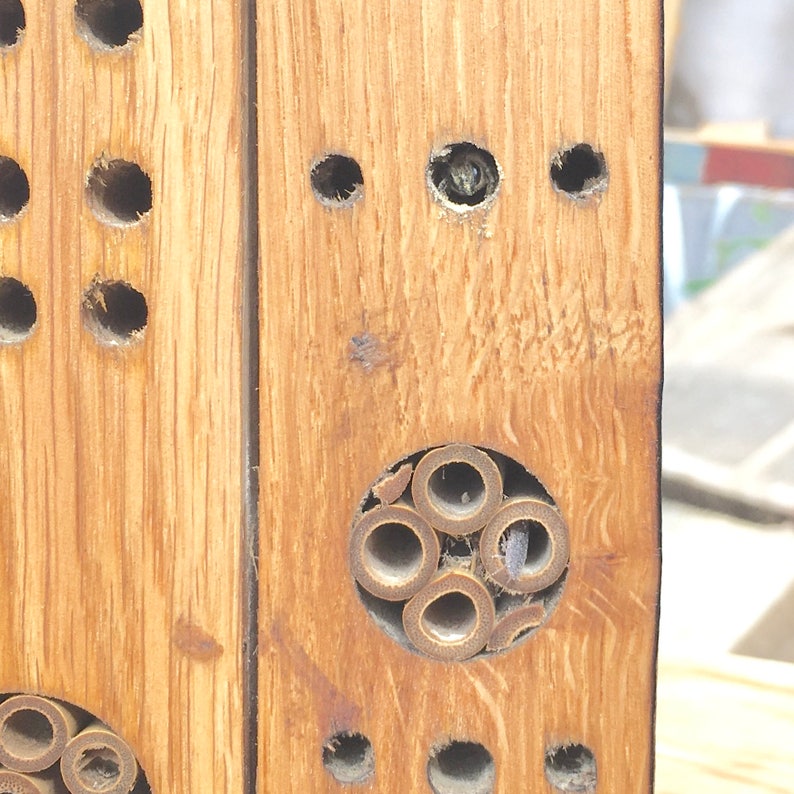 Reclaimed Oak Bee Hotel image 4