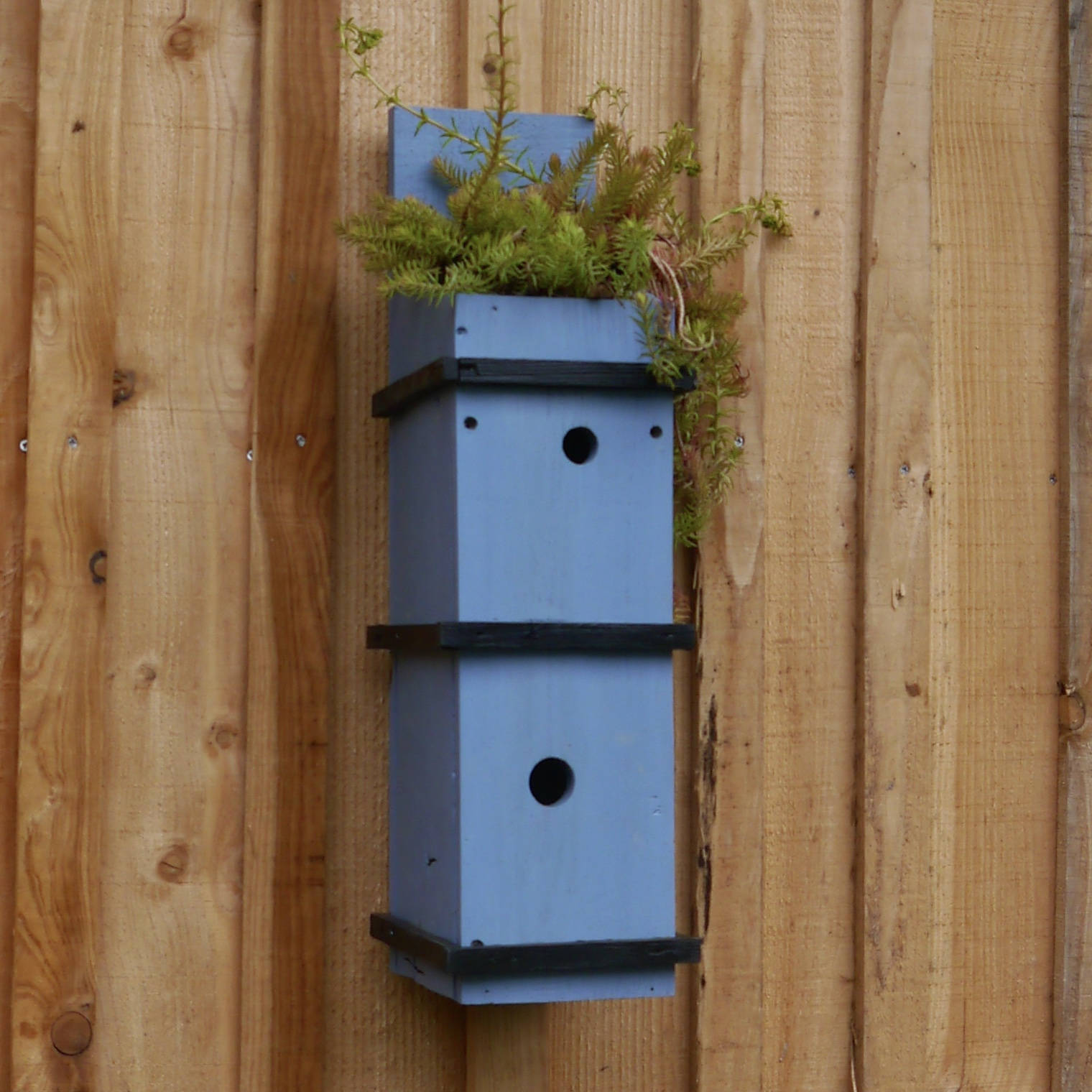 Image showcasing Double birdhouse with roof garden | Etsy