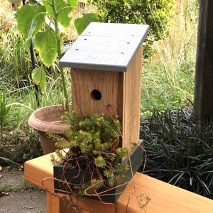 May include: A wooden birdhouse with a grey roof, a small hole for birds to enter, and a green plant growing in front of it.