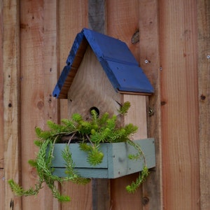 Bird House Planter