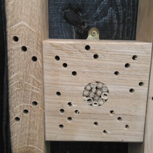 Bee Hotel, Insect Hotel. image 5