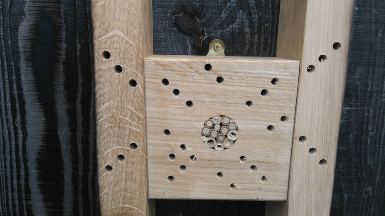 Bee Hotel, Insect Hotel. image 5