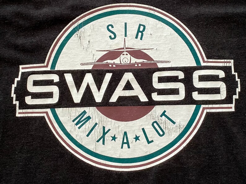 80s Sir Mix A Lot SWASS Album Promo Tank Top. Vintage 1988 Sir Mix A ...