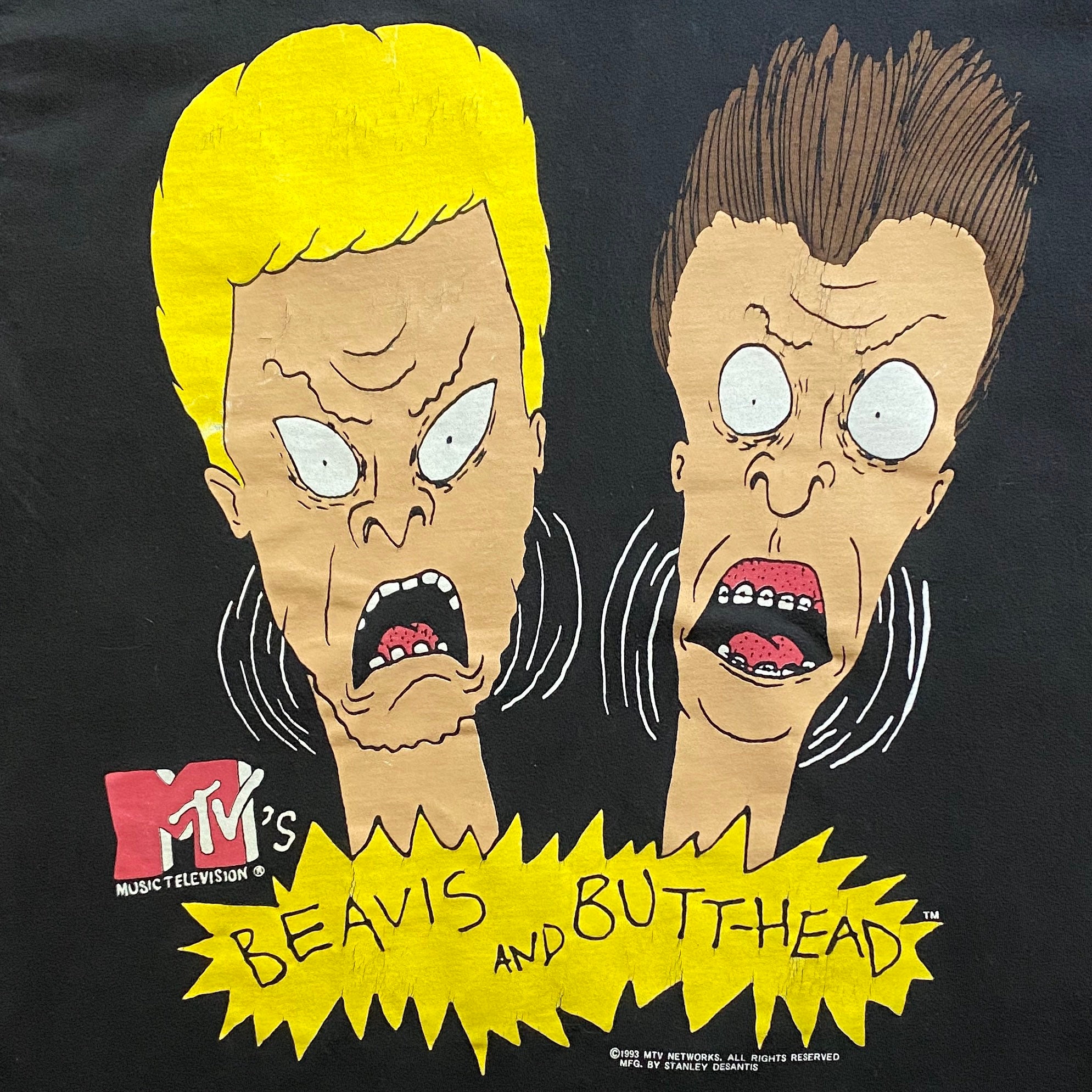 90s Beavis and Butt-head Stanley Desantis MTV TV Promo - Etsy Canada