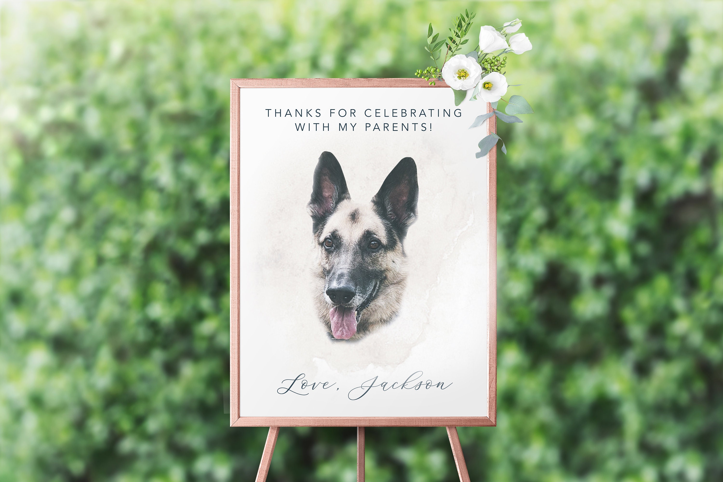 Dog Wedding Celebration Sign Pet Wedding Welcome Sign Easy | Etsy