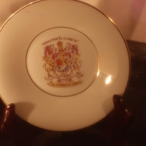 Vintage 1950s Taylor and Kent Bone China / Collectible China