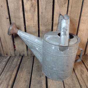 May include: A galvanized metal watering can with a long spout and a handle. The watering can has a cylindrical body and a rounded top. The spout is a reddish-brown color. The background is a wooden surface.