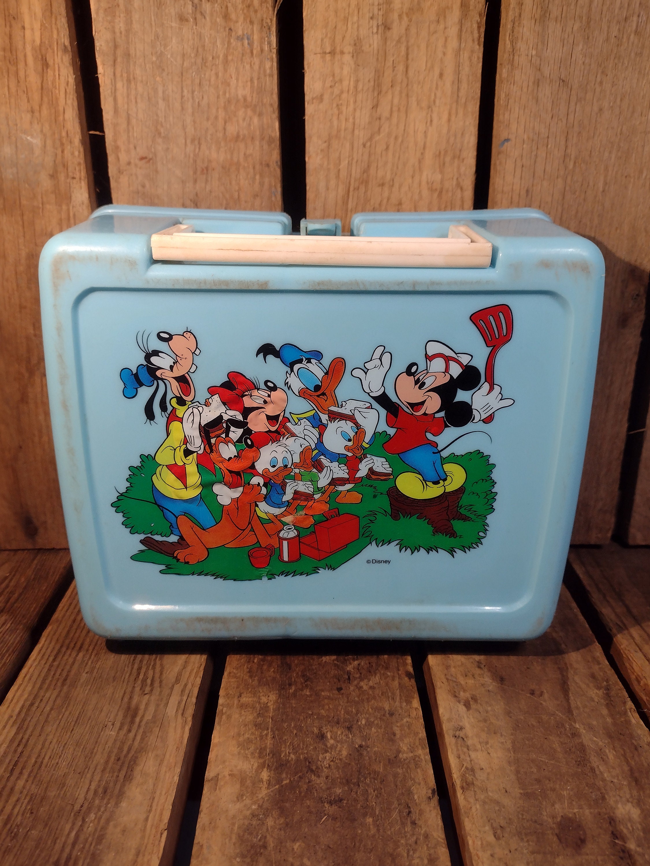 Vintage Plastic Lunchbox, This Lunchbox Has Multiple Cracks on It