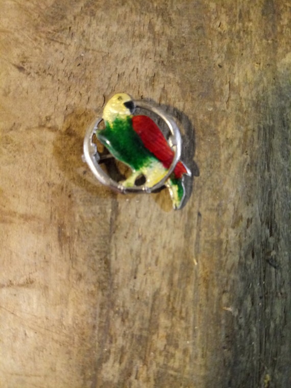 Vintage Small Sterling Parrot Pin