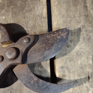 Antique Rusty Metal Hand Snips - Etsy
