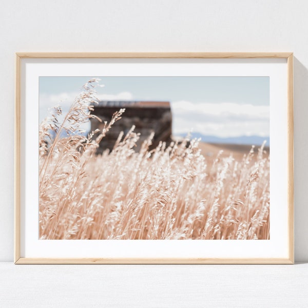 Barn Photography, Rural Photography, Landscape Wall Art, Farmhouse Home Decor, Rural Colorado, Photography Print