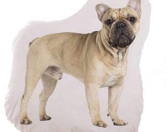 French Bulldog dog Pillow 5000