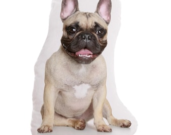 French Bulldog dog Pillow 5001