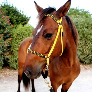 Paracord Bitless Bridle &quot;Zéphyr&quot;