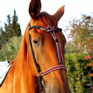 Paracord Bitless Bridle &quot;Lilie&quot;