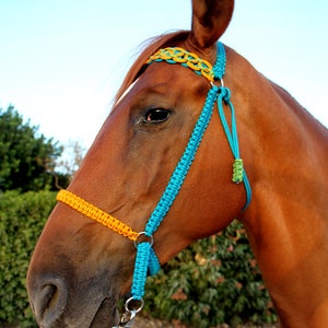 Paracord Bitless Bridle &quot;Pinyol Golden Blue&quot;