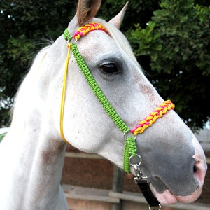 Paracord Bitless Bridle &quot;Sweet Salines&quot;