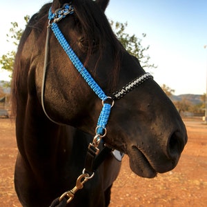 Paracord Bitless Bridle &quot;Pinyol&quot;