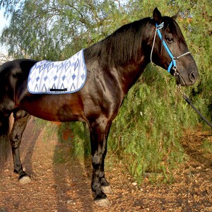 Almohadilla de sillín "Salines Sky"