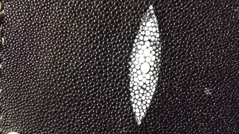 billfold black stingray bifold Black bi-fold wallet stingray leather with snap closure