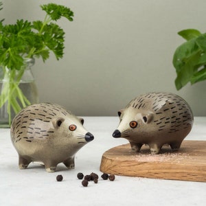 Hedgehog Salt and Pepper Shakers, designed in the UK by Hannah Turner, pottery hedgehog cruet set gift, perfect pair of hedgehogs