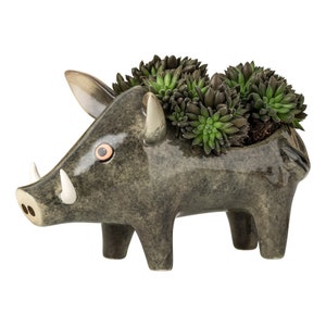 Handmade Ceramic Wild Boar Planter by Hannah Turner