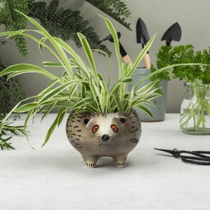 Handmade Ceramic Hedgehog Planter by Hannah Turner, pottery hedgehog gift, gift boxed with no plastics.