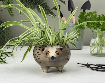 Handmade Ceramic Hedgehog Planter by Hannah Turner, pottery hedgehog gift, gift boxed with no plastics.