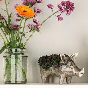 Handmade Ceramic Wild Boar Planter, designed in the UK by Hannah Turner, the perfect gift for the rewilder, Pig Plant Pot, Wild Boar gift