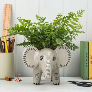 Puede incluir: Un macetero de cerámica gris en forma de elefante con detalles negros, que contiene una planta de helecho verde. El macetero tiene orejas grandes y un diseño caprichoso.