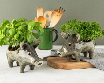 Handmade Ceramic Wild Boar Planter, designed in the UK by Hannah Turner, the perfect gift for the rewilder, Pig Plant Pot, Wild Boar gift