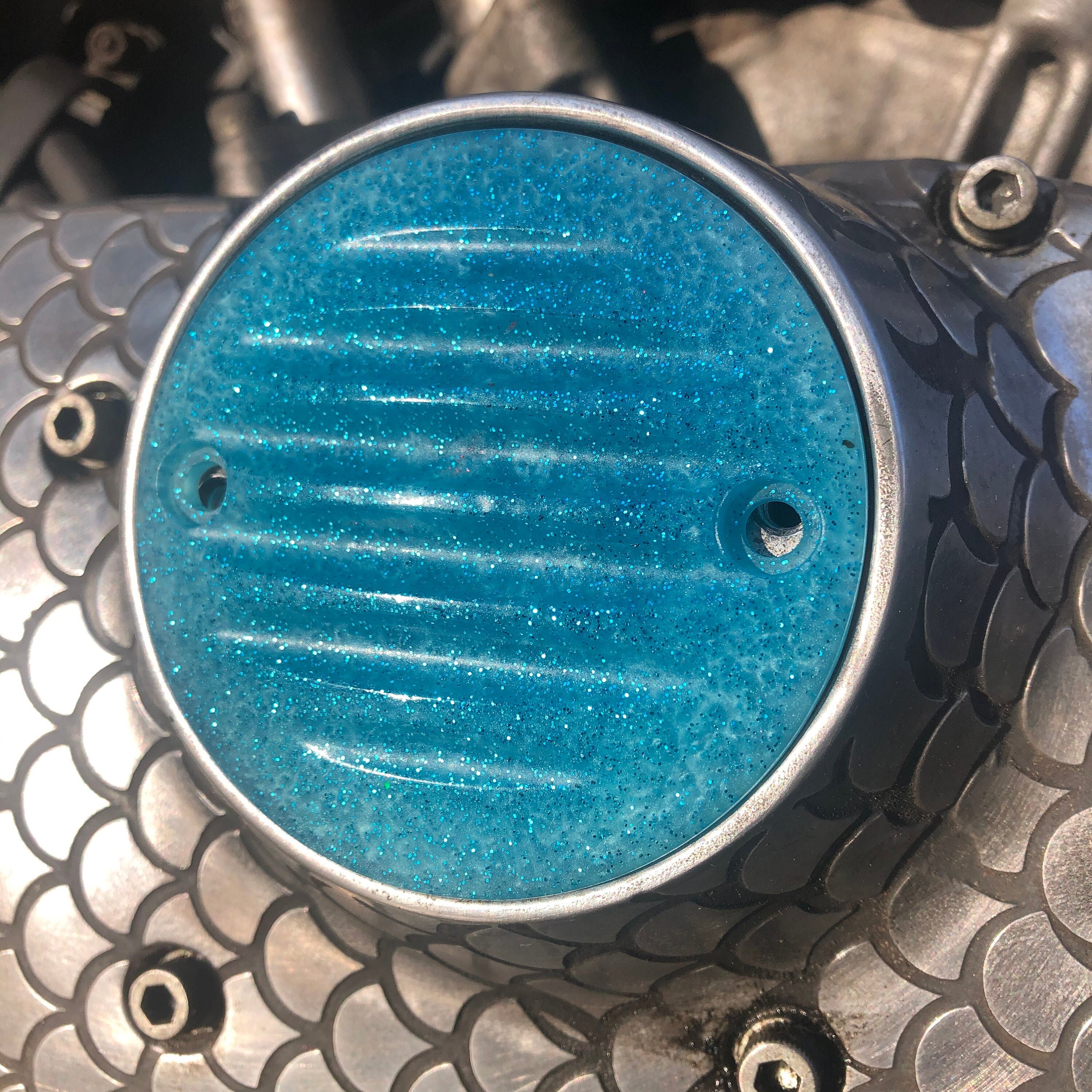 Points Cover for Harley Sportster XL Evolution Big Twins Etsy