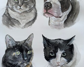 Made to order Custom pet portraits from photo hand-made watercolor, perfect gift for pet lover! USA seller.