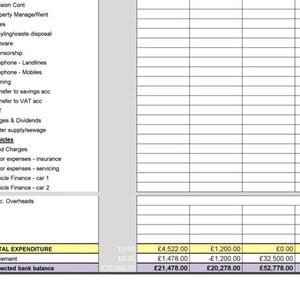 Cash Flow Forecast for small to medium business - EXCEL digital download image 3
